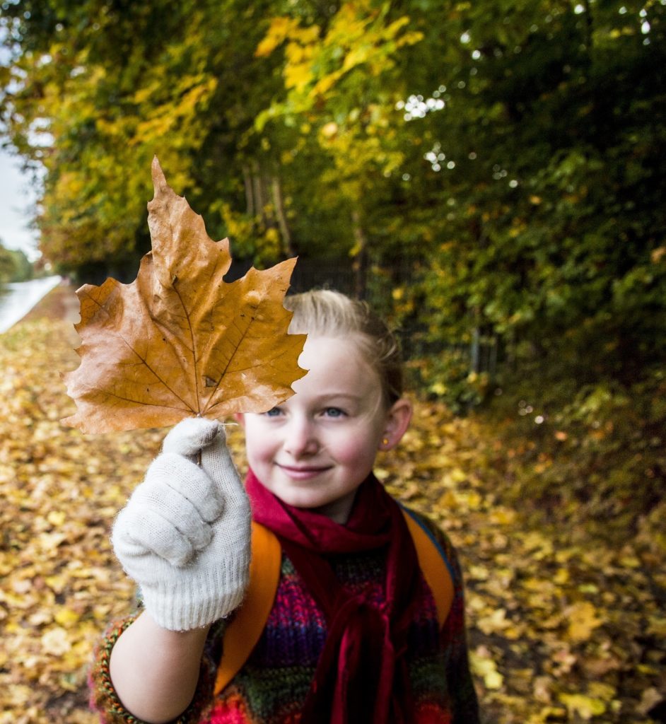 Small girl with autumn leaf
