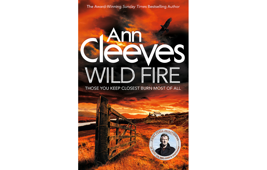 Image result for wild fire ann cleeves