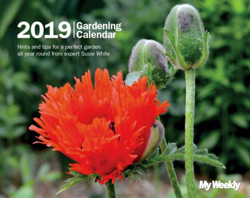 My Weekly Gardening Calendar