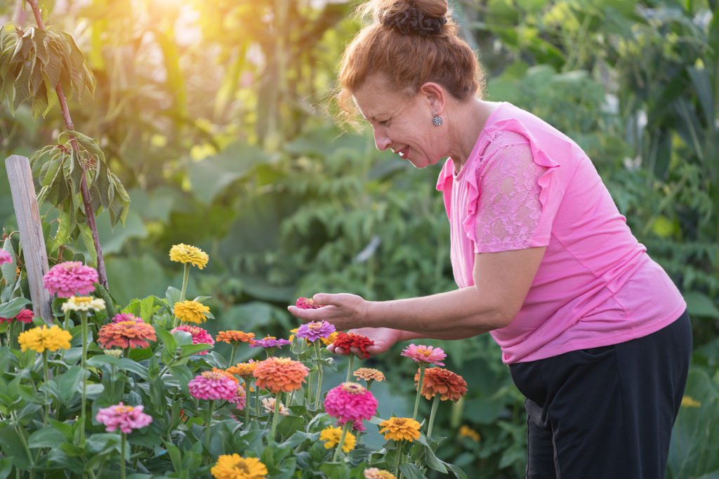 senior woman gardening in backyard with flowers.