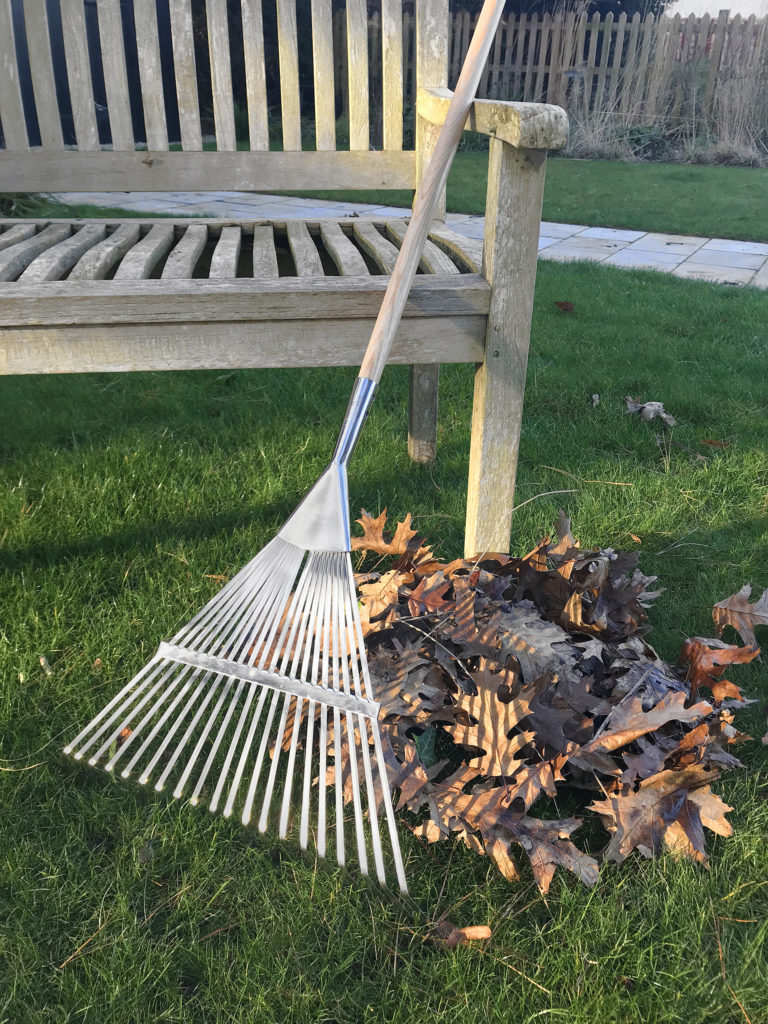 Pile of leaves and a rake beside wooden bench in garden