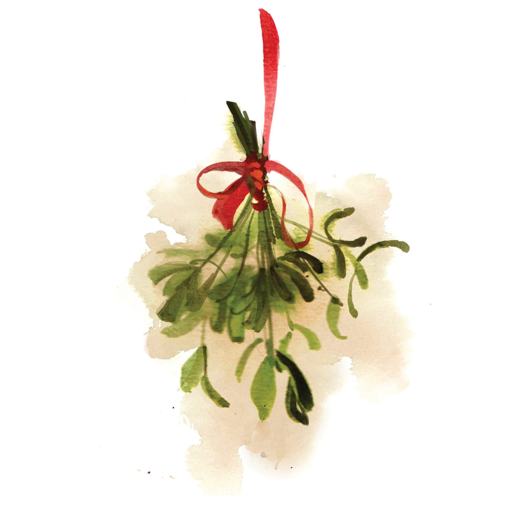 Watercolour of bunch of mistletoe, hanging from a red ribbon