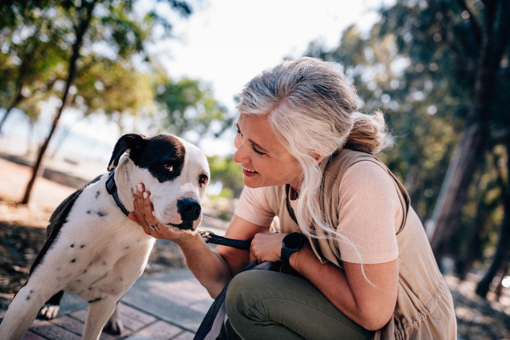 Smiling mature woman enjoying afternoon walk and petting dog in forest park in summer