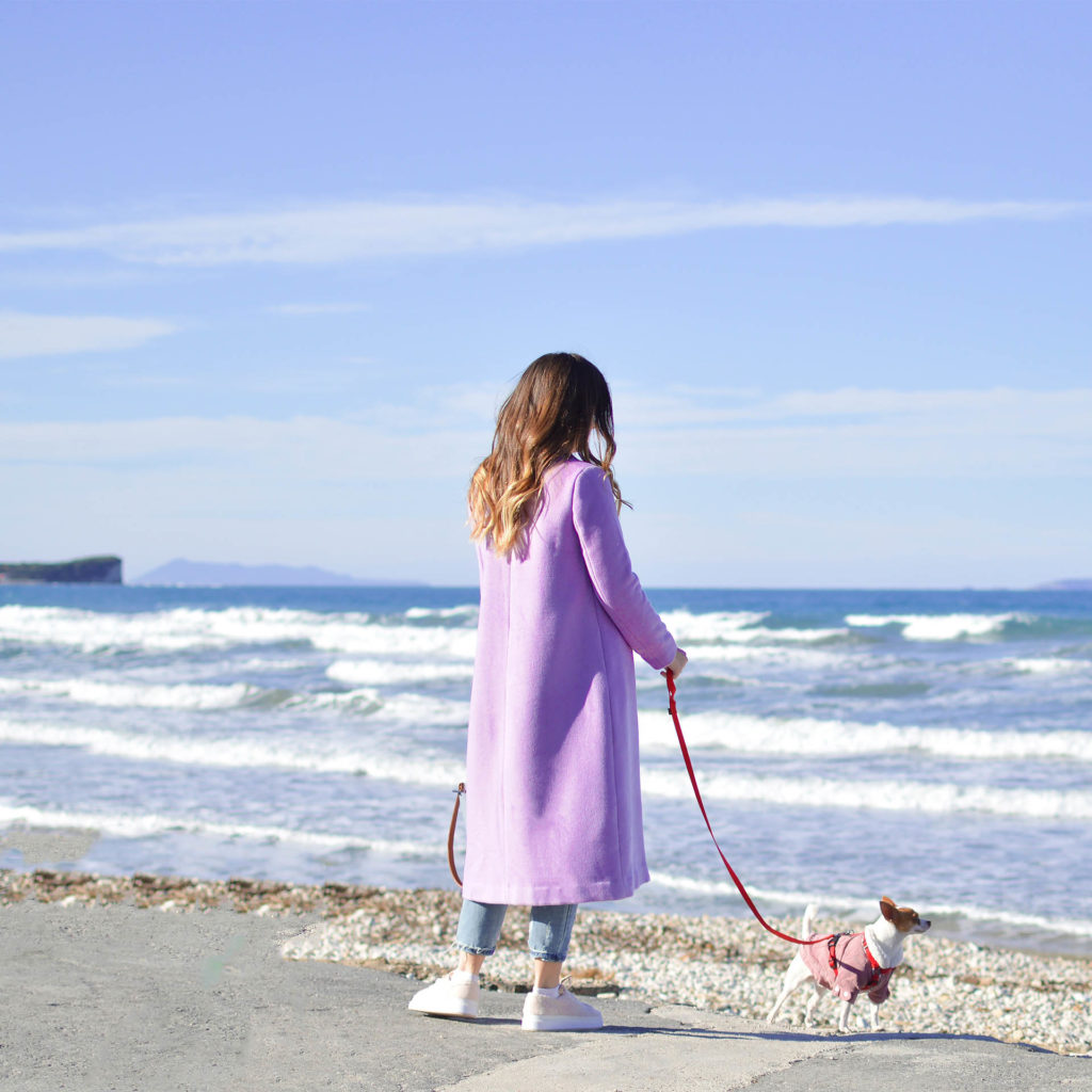 Young woman looks out to sea from promenade, chihuahua in coat on a lead, blue sky