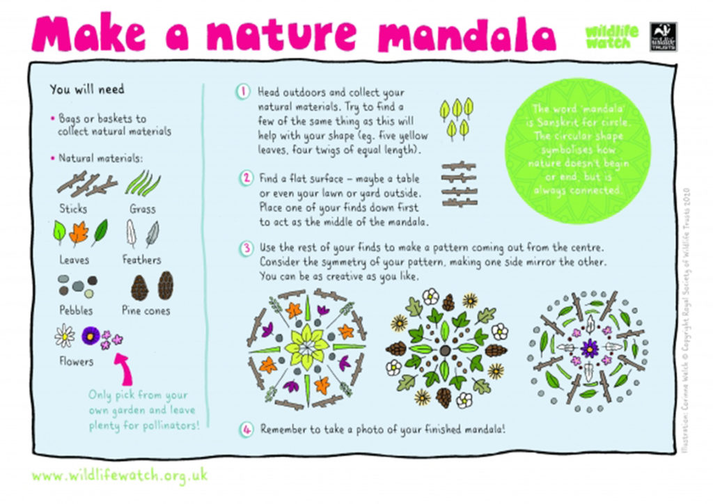 Infographic on making a nature mandala - collect items such as twigs, feathers, leaves and petals and arrange them in a circle radiating outwards