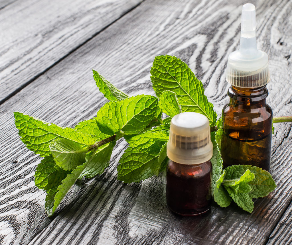 2 small brown bottles of essential oil and sprig of fresh mint lying on grey wooden boards