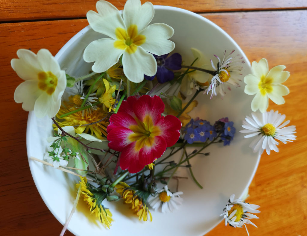 Primulas and wild flowers such as daisies and dandelions in a bowl