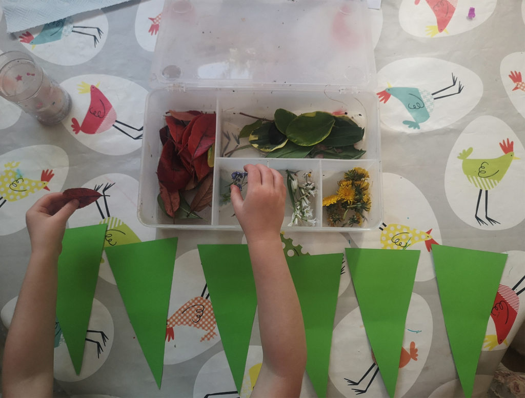 Row of long triangles of green card laid out on table. Child's arm reaching across to leaves in a plastic box.