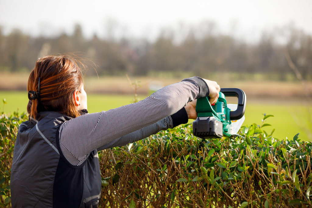 Gardening Woman with hedge trimmer in summer; 