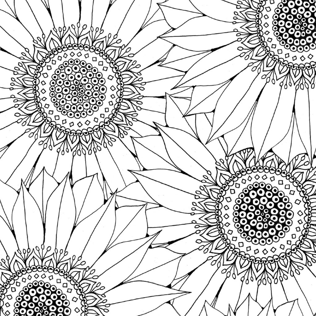 Black and white outline of sunflowers on colouring sheet