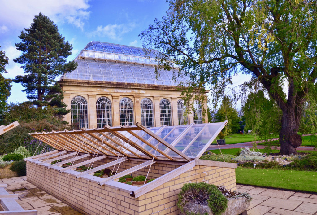 Row of cold frames, lids open, with Victorian glasshouse behind