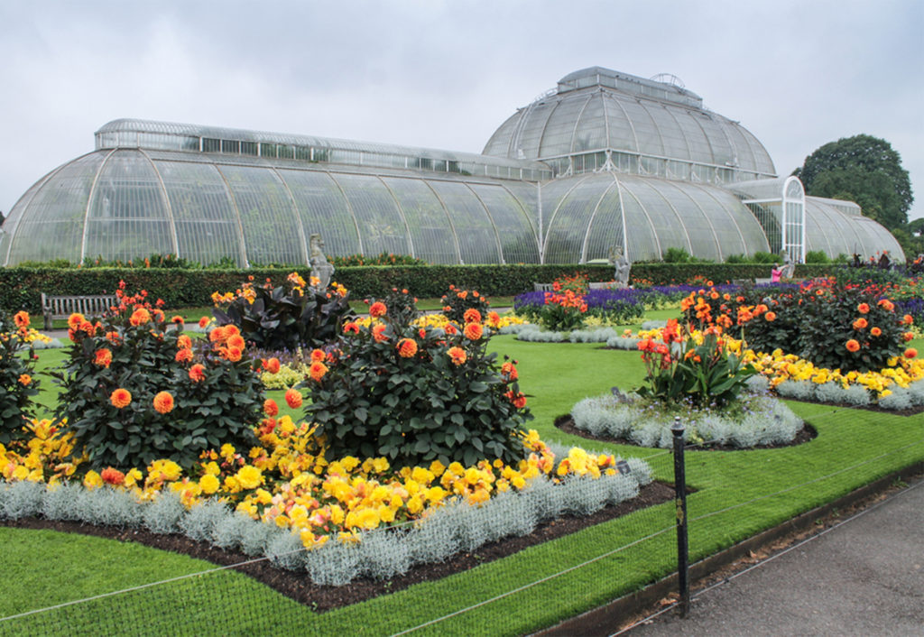 Beds of yellow flowers and bushes with orange blooms. ornate Victorian glasshouse behind