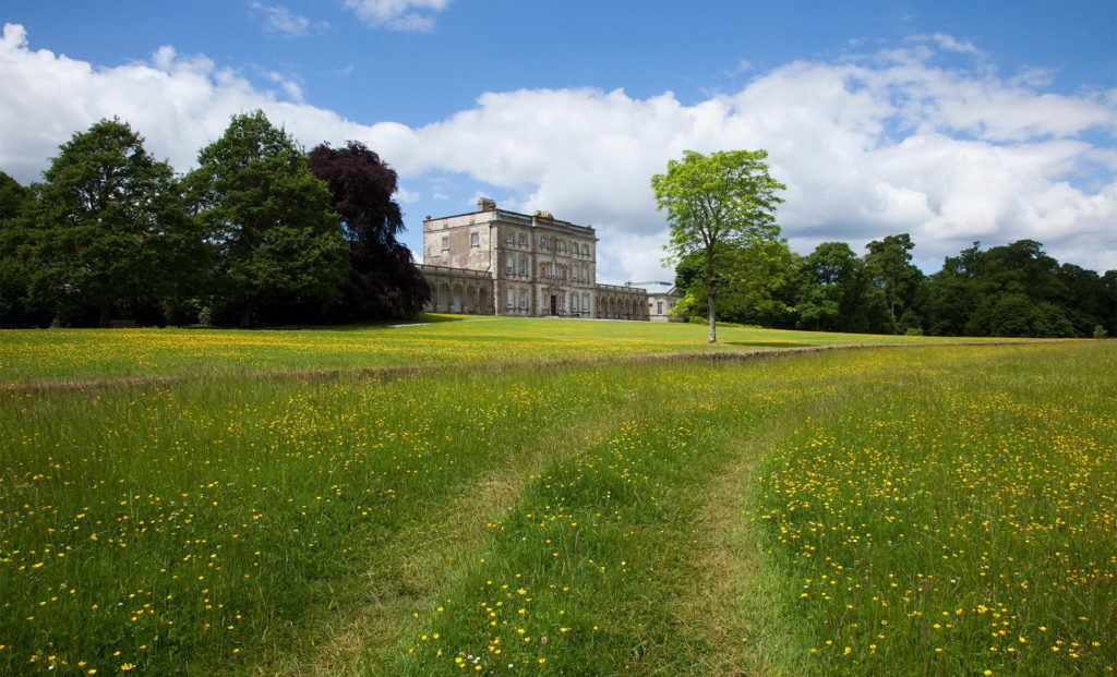 Path through wildflower meadow, stately home in middle distance