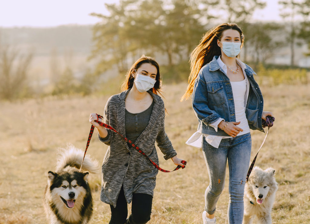2 young women wearing masks walking husky type dogs across a field