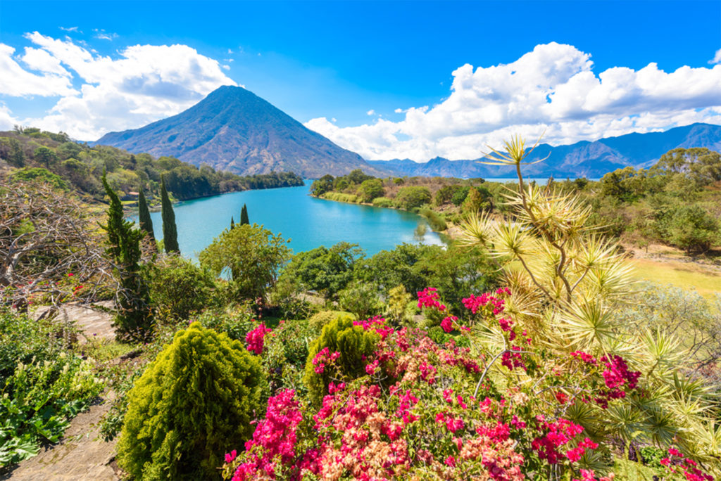 Turquoise lake, bushes with red flowers, cone-shaped mountain beyond