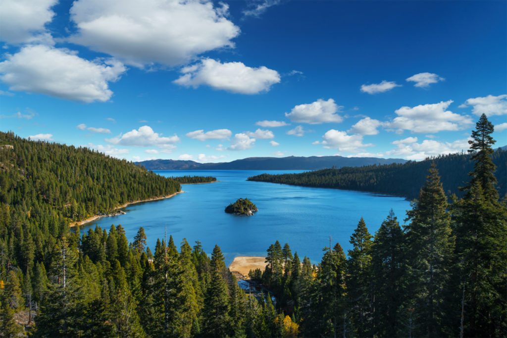 Pine forest in foreground, blue lake with island behind, gentle hills