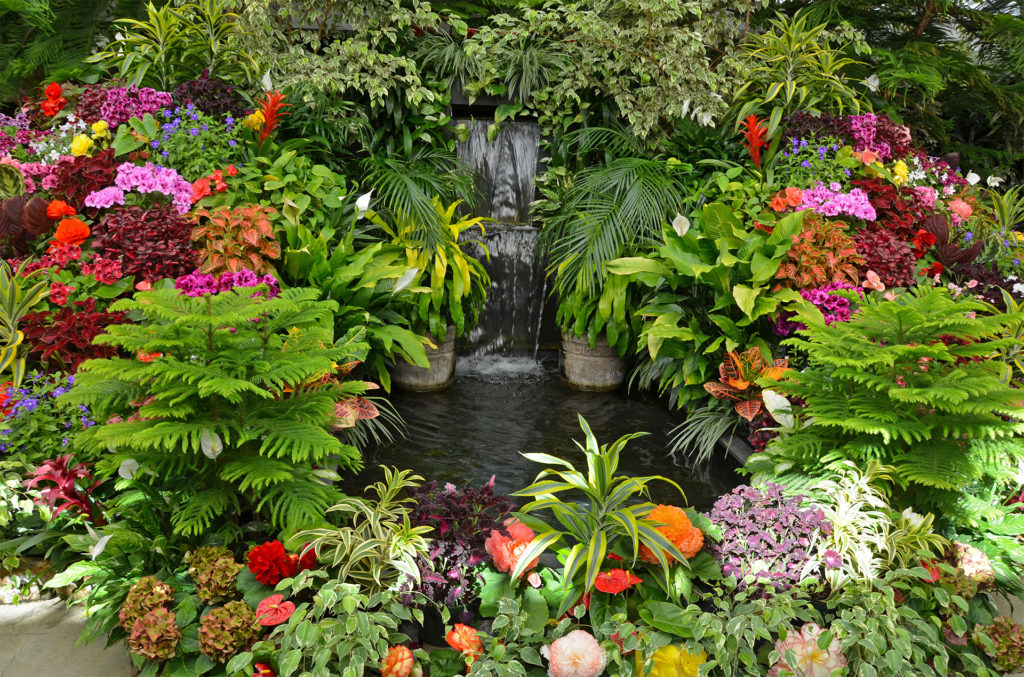 Beds of tropical flowers and ferns around pond and waterfall