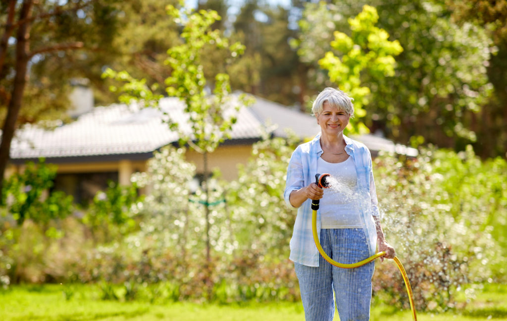gardening and people concept - happy senior woman watering lawn by garden hose at summer.