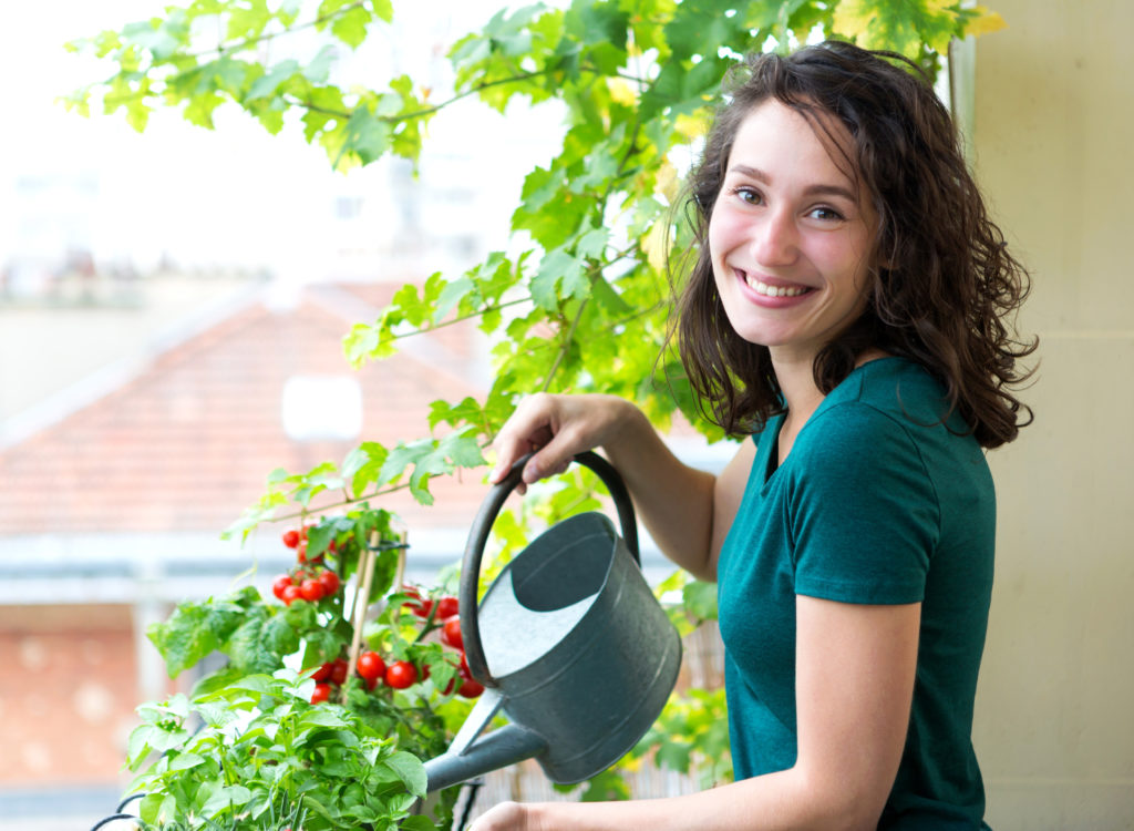 View of a Young woman watering tomatoes on her city balcony garden - Nature and ecology theme; 