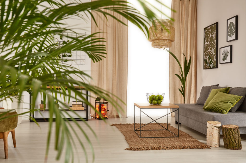 Modern living room with large houseplants
