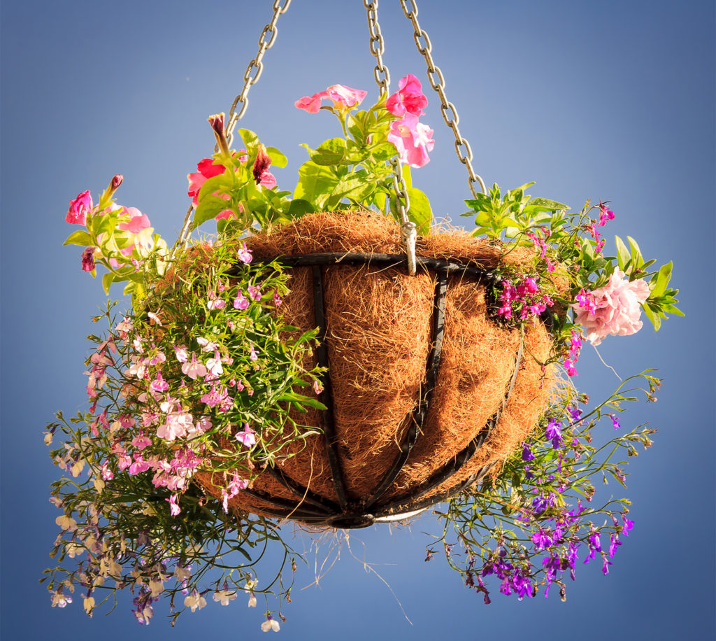 decorative basket with flowers with the blue sky background