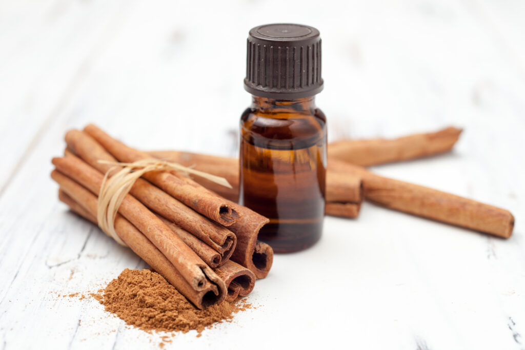 ground cinnamon, essential oil and cinnamon sticks cinnamon on a white background; 