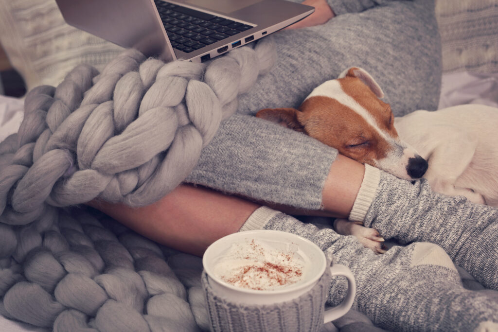 Cozy home, warm blanket, hot drink, movie night. Dog sleeping on female feet. Relax, carefree, comfort lifestyle